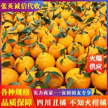 四川丑橘不知火柑橘丑八怪产地现摘现发质量好价格低
