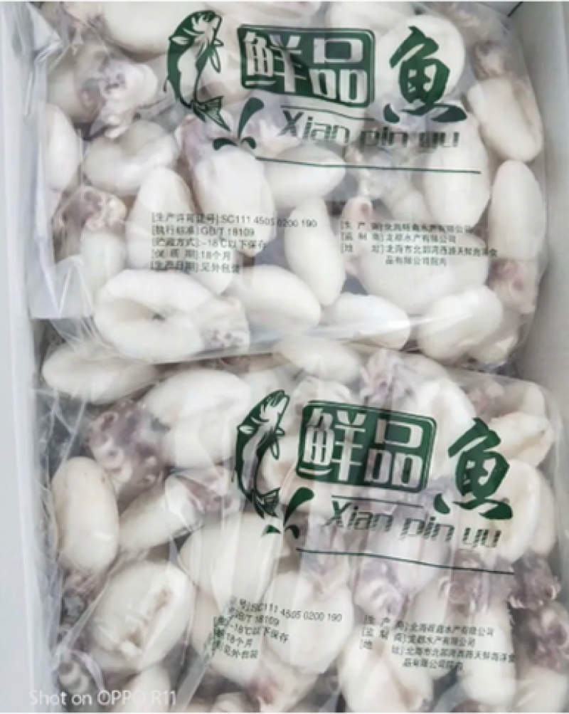 速冻墨鱼仔冷冻海产品、、、、、、、、、、