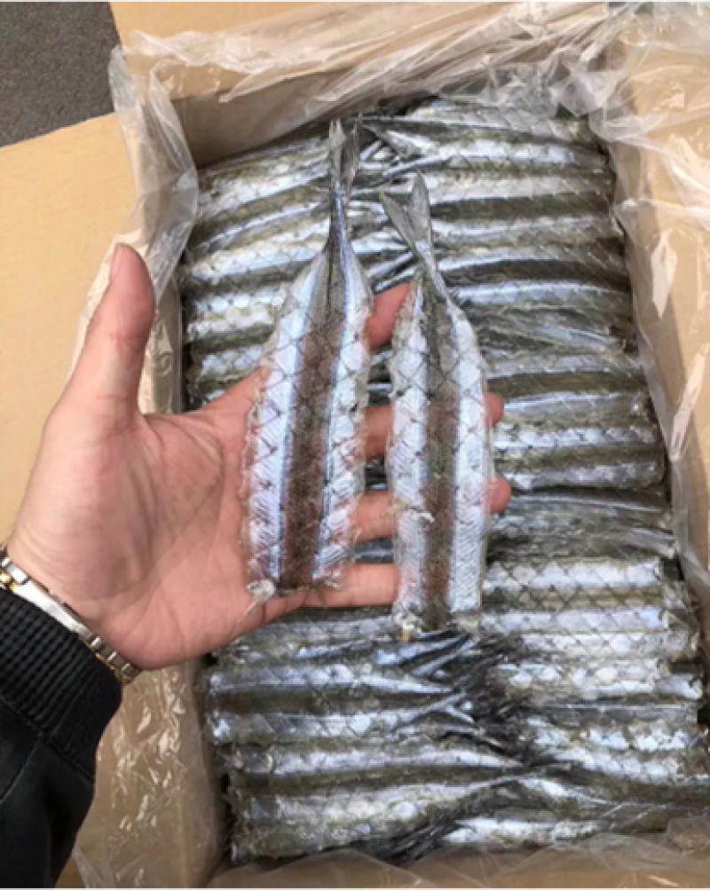 调味马步鱼干冷冻海产品、、、