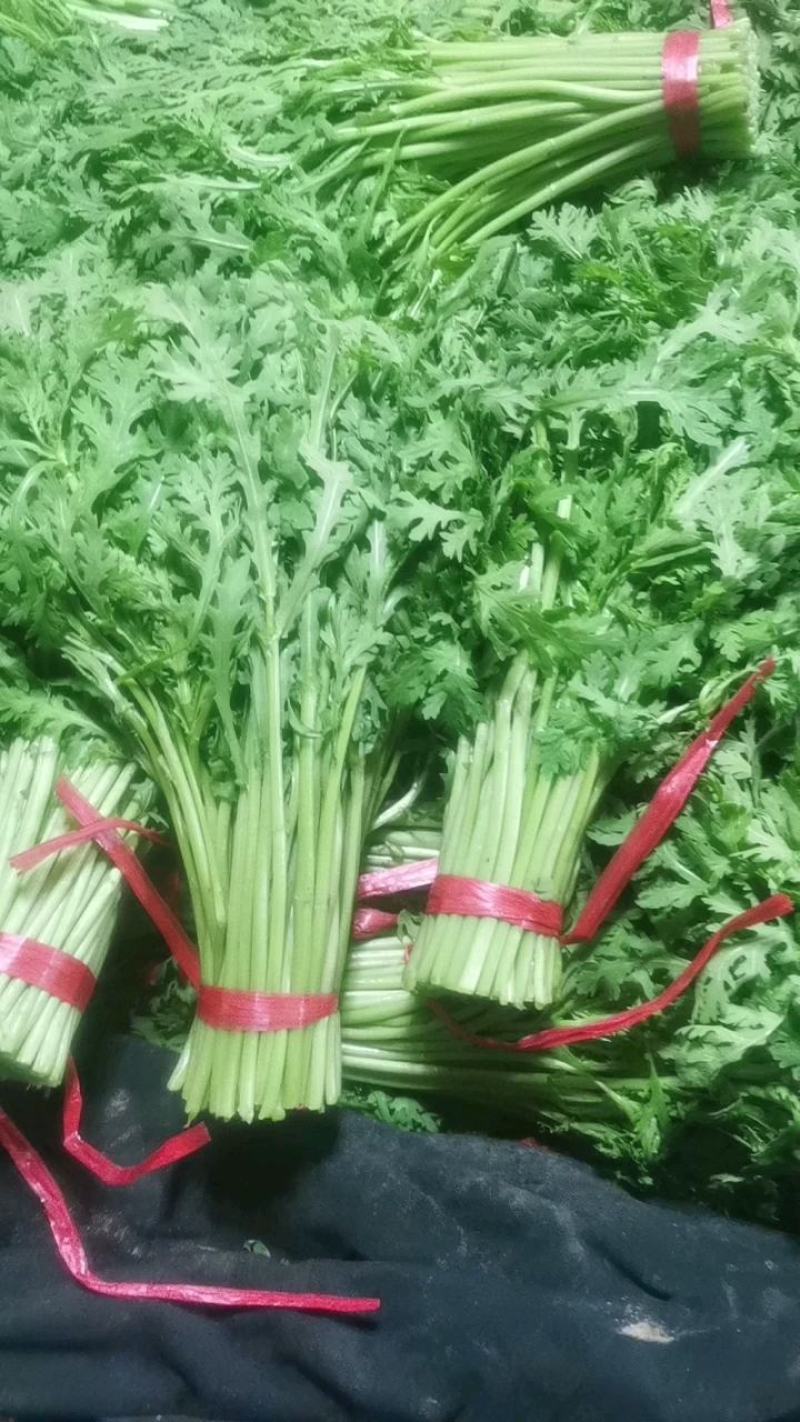 寿光光杆茼蒿皇帝菜蒿子杆大量上市中。
