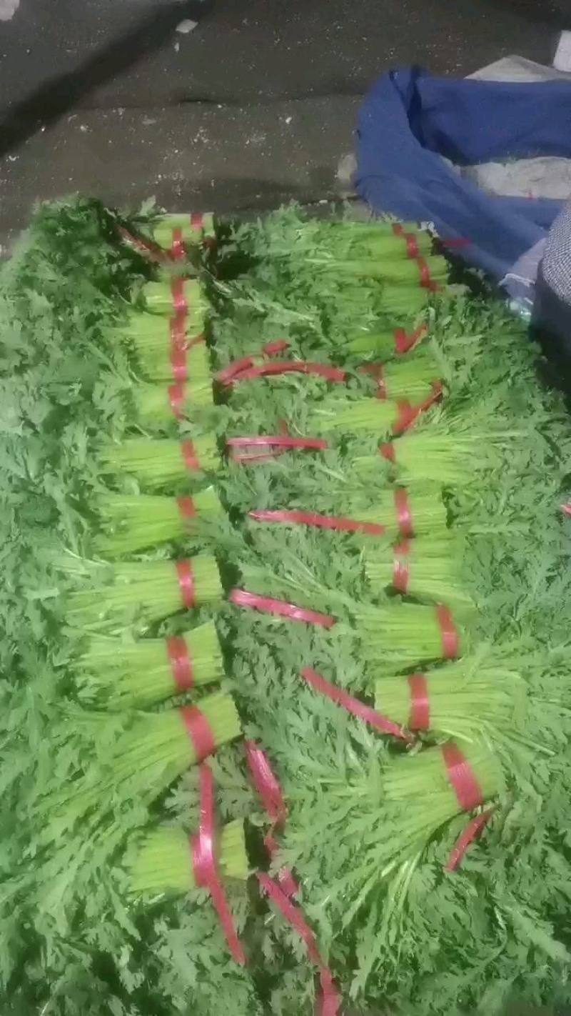 寿光光杆茼蒿皇帝菜蒿子杆大量上市中。
