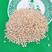 秫米正宗优质北秫米药用中药材500g包邮正品糯小米中草