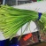 金乡冷库供应红帽蒜苔杂交蒜苔，精品，原包。