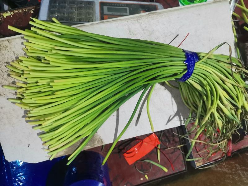 金乡冷库供应红帽蒜苔杂交蒜苔，精品，原包。