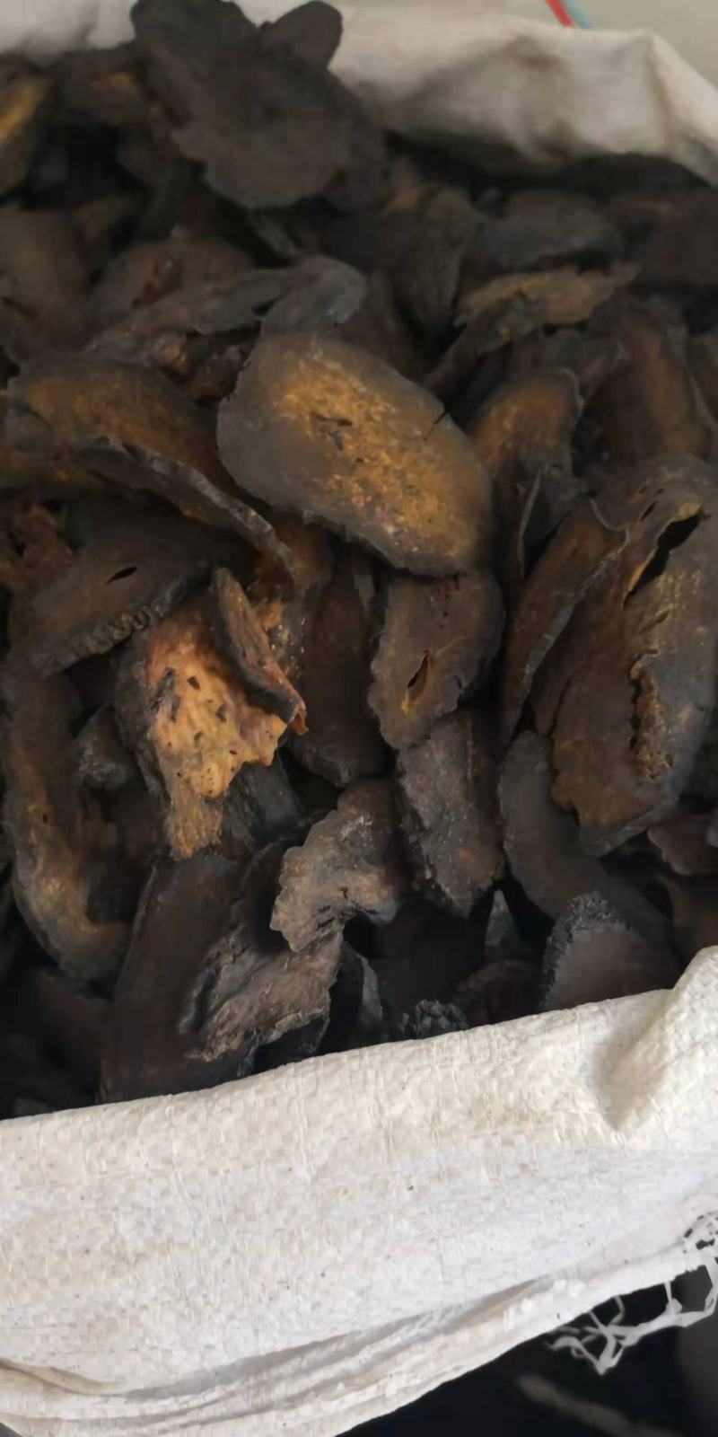 肉苁蓉大芸片量大从优欢迎选购！