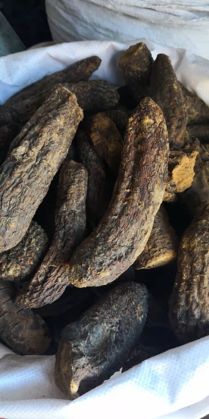 肉苁蓉大芸片量大从优欢迎选购！
