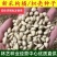 新采枸橘种子枳壳种子枸桔积壳籽橘子红橘种子嫁接砖木带刺篱