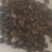 油茶鲜果，鲜油茶籽。干茶籽。