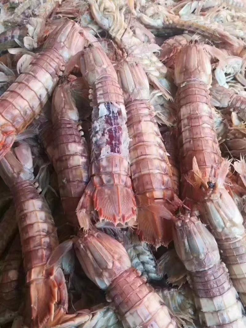 琵琶虾，爬虾，规格齐全