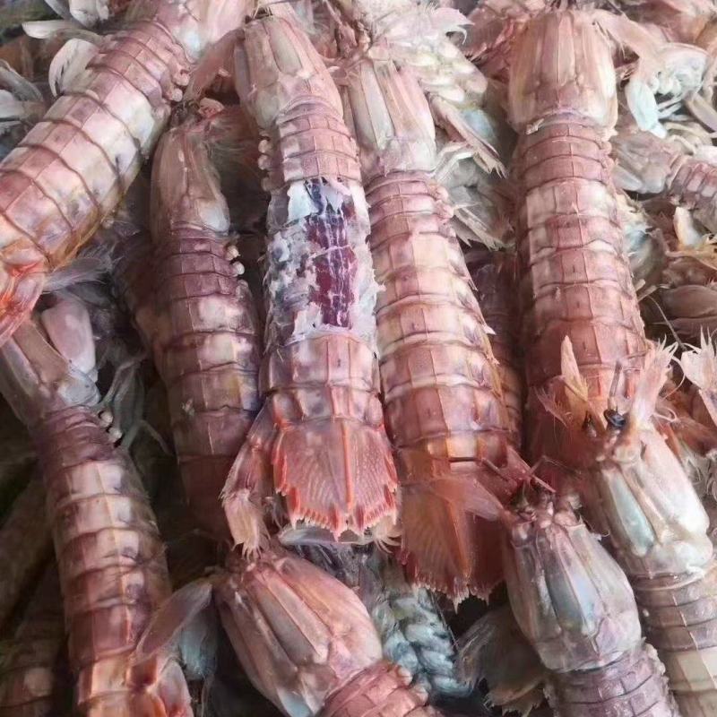 琵琶虾，爬虾，规格齐全