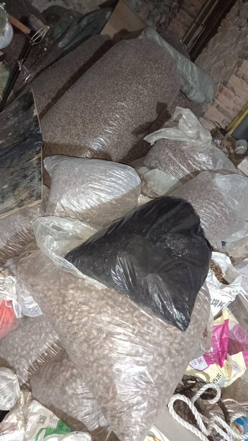 蝉蜕，大马，干净无杂质