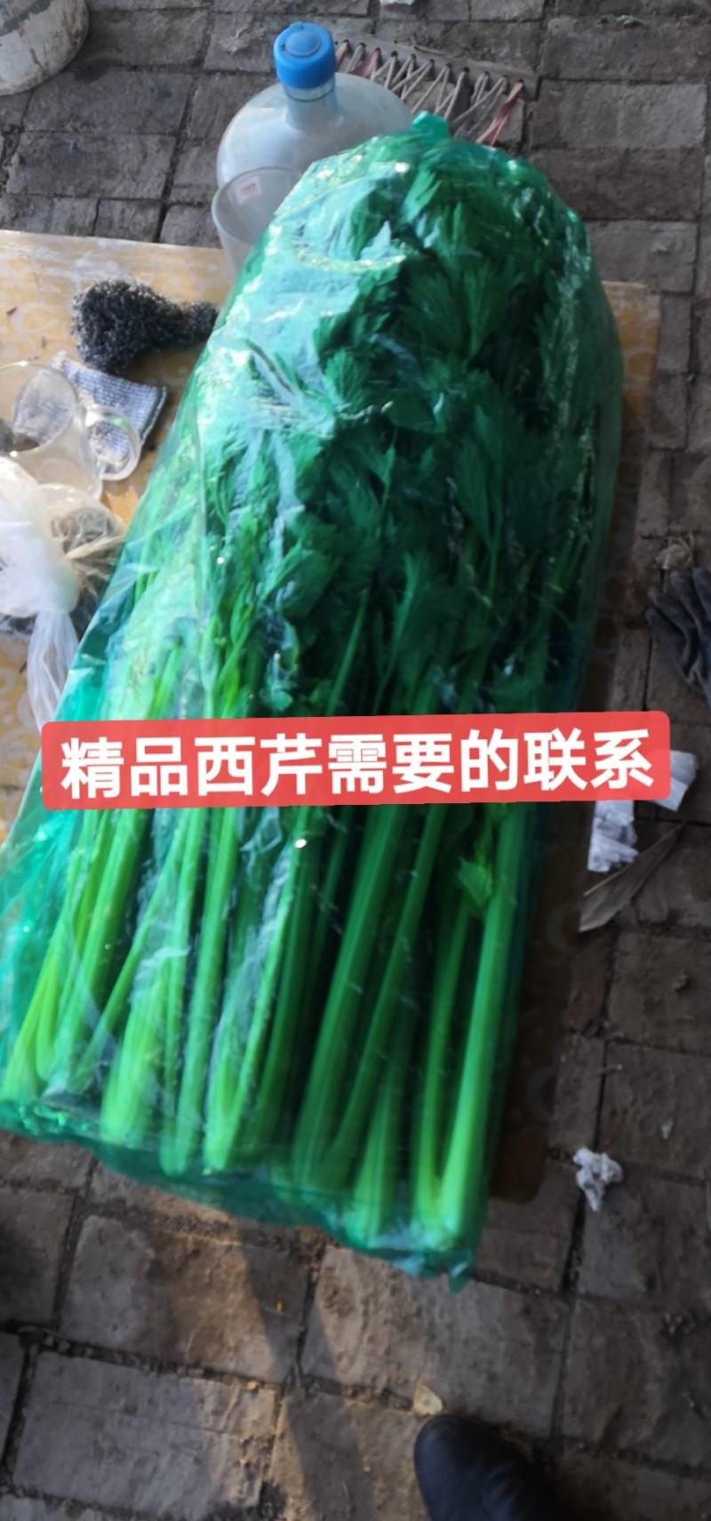精品芹菜，精品西芹，纤维少，水分少，鲜嫩，产地一手货源
