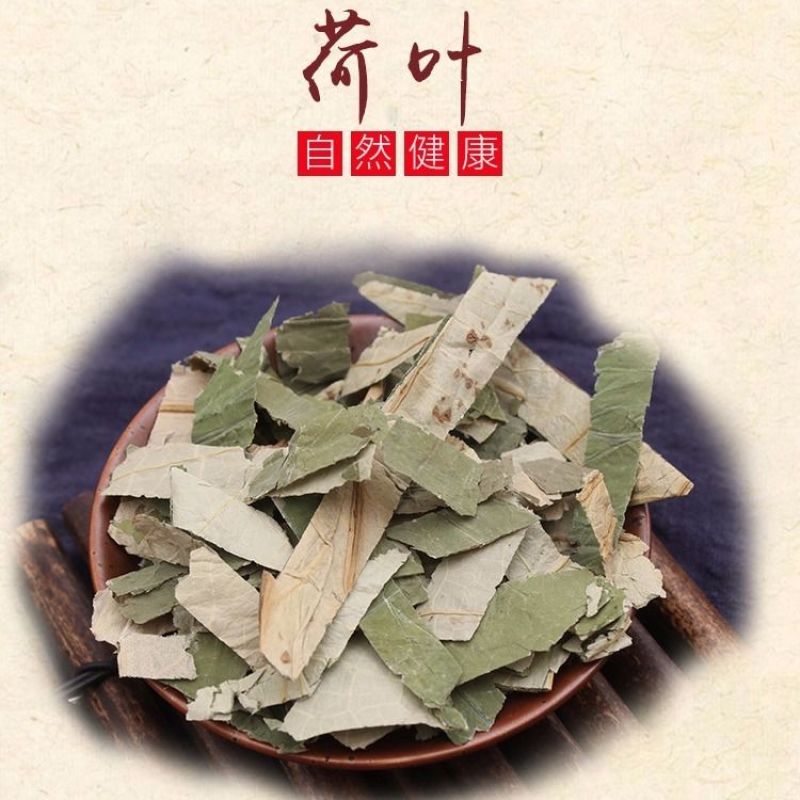 荷叶干货荷叶中药材常年经营欢迎选购！