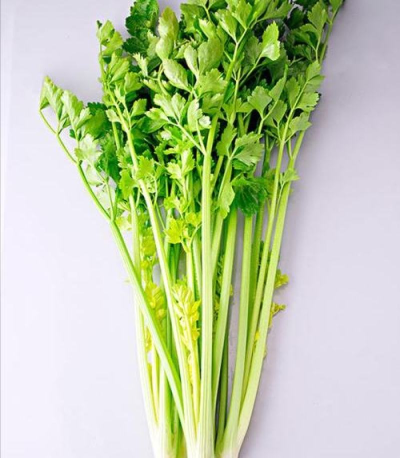 山东商河精品小芹菜，产地一手货源，鲜嫩清脆，质量杠杠的