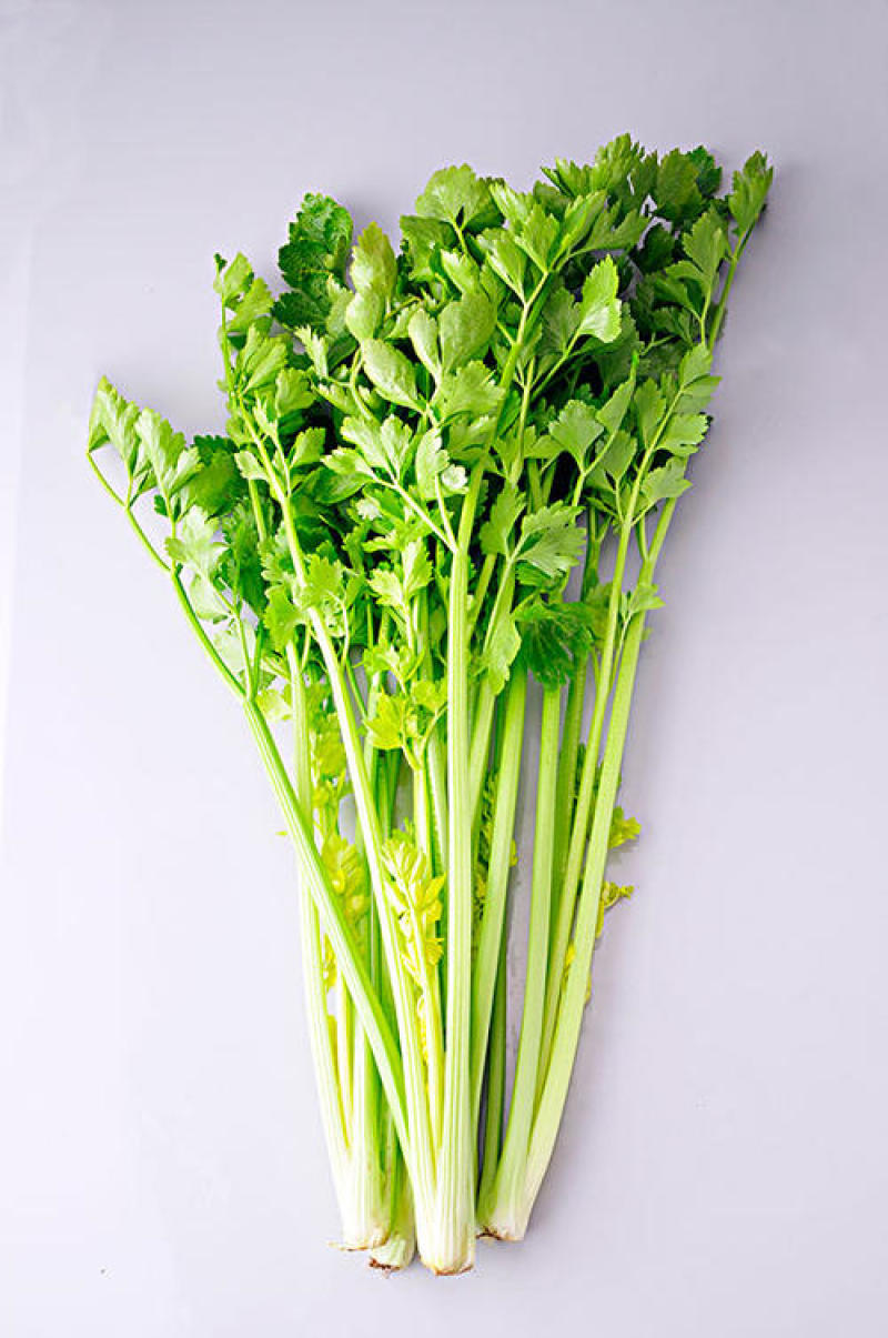 山东商河精品小芹菜，产地一手货源，鲜嫩清脆，质量杠杠的