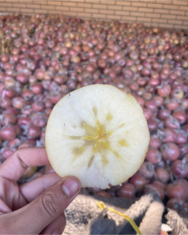 冰糖心红富士苹果，大量供应。产地直销。海量货源。