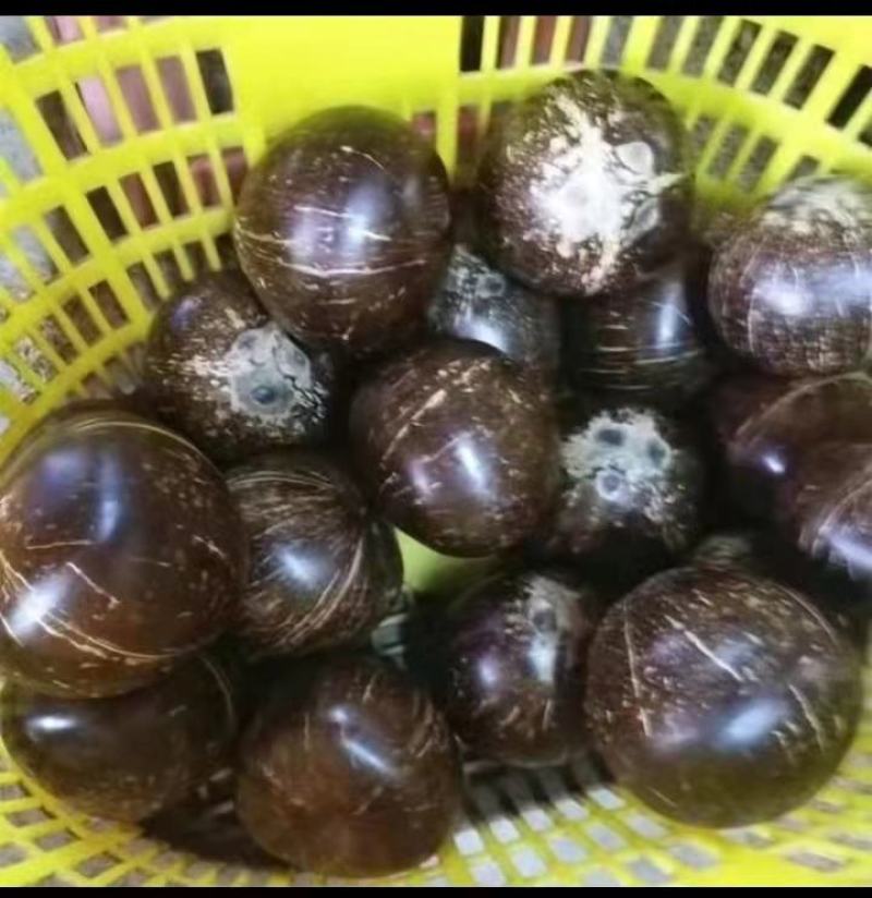海南精品椰皇，口感甜美，产地直销，一手货源。