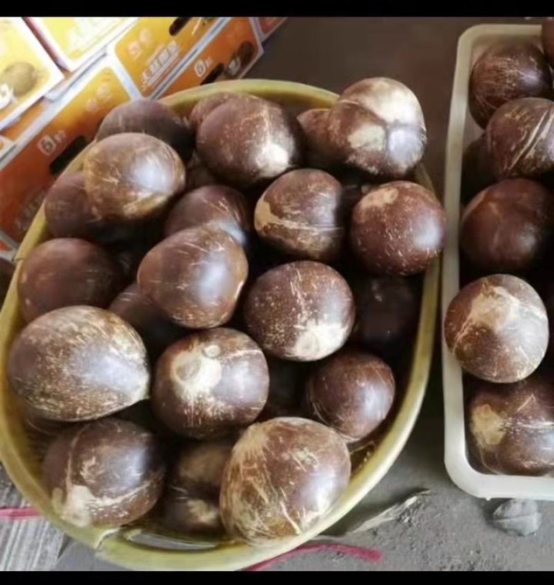 海南精品椰皇，口感甜美，产地直销，一手货源。