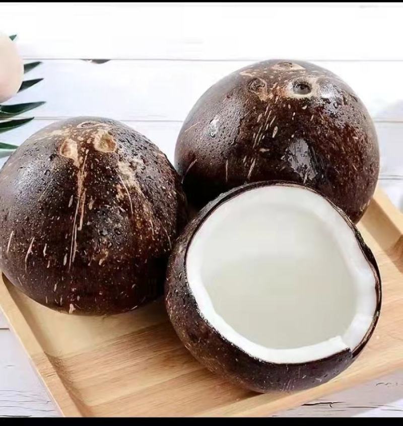 海南精品椰皇，口感甜美，产地直销，一手货源。