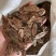 杜仲种子，产地直销，发芽率一级，净度高，品种优