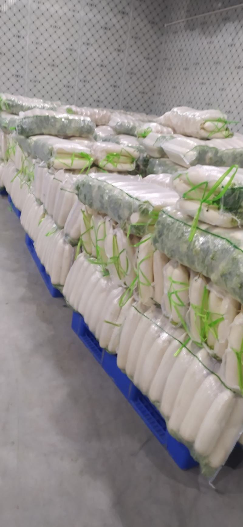 热销湖北优质白萝卜水洗预冷基地直发保质保量！