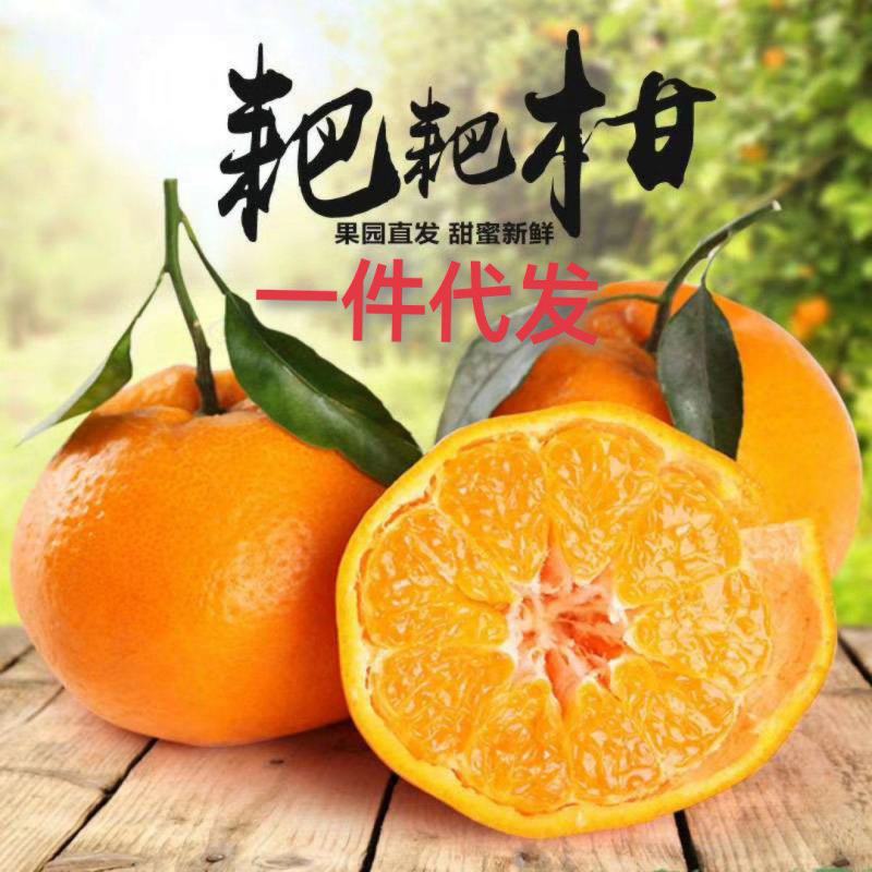 四川耙耙柑春见一件代发眉山耙耙柑产地仓库批发电商包邮