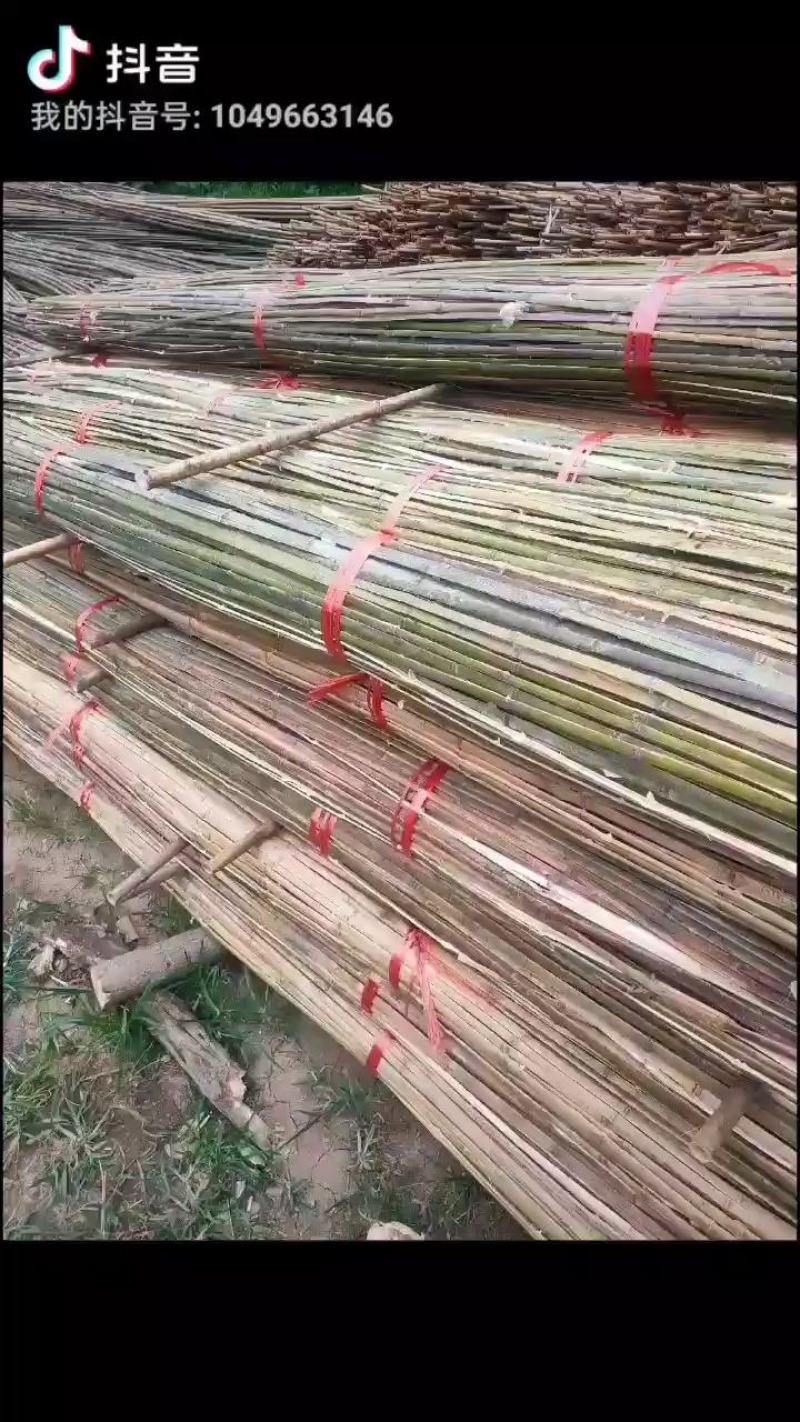 大量供应烤直竹竿，竹条，绿化竹竿