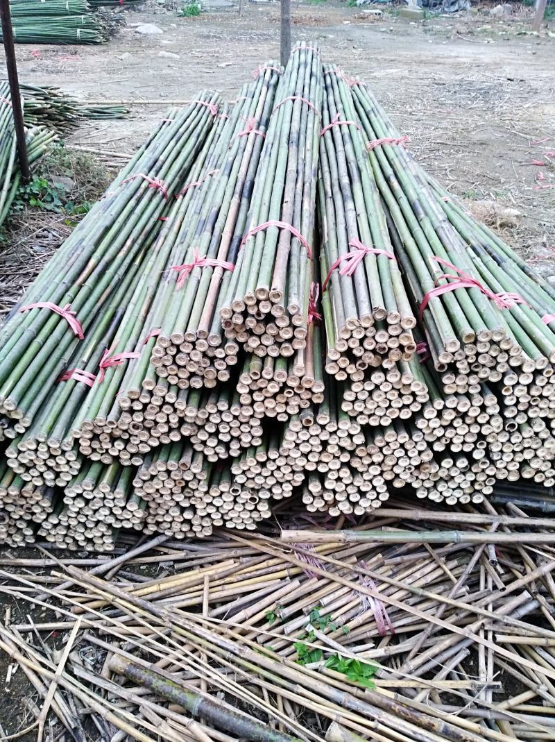 大量供应烤直竹竿，竹条，绿化竹竿