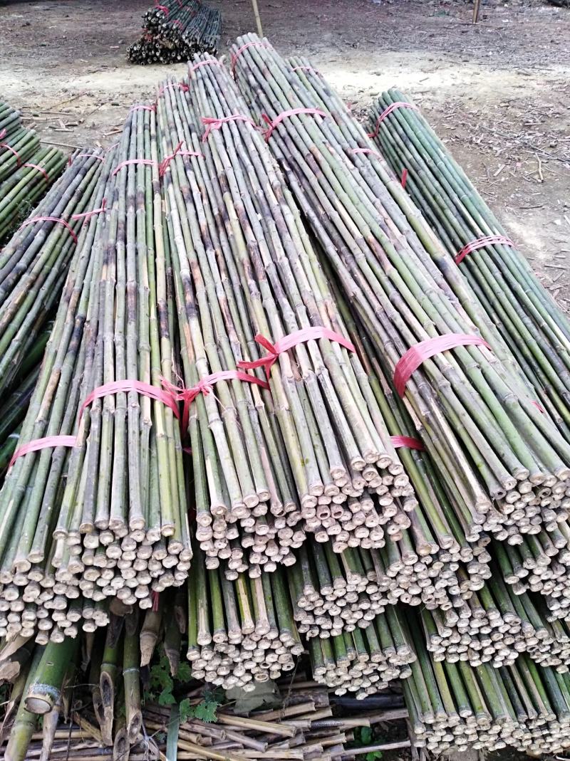 大量供应烤直竹竿，竹条，绿化竹竿