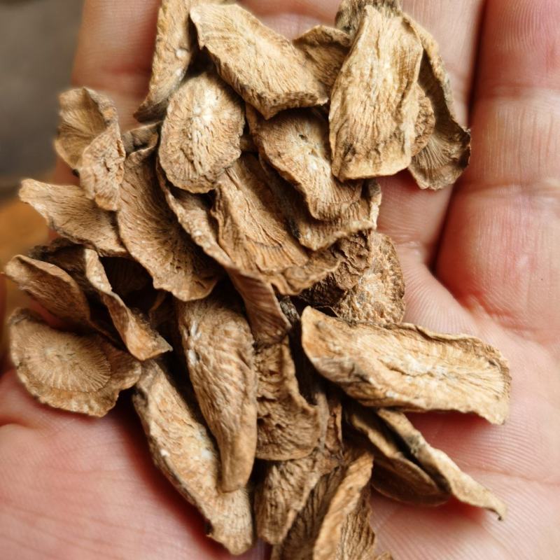 牛蒡、牛蒡茶一手货源