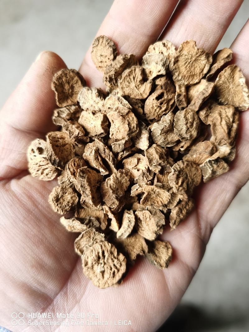 牛蒡、牛蒡茶一手货源
