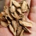 牛蒡、牛蒡茶一手货源