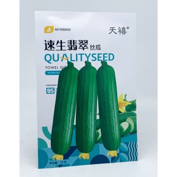 短棒油皮丝瓜种子早熟高产水瓜种子10克原装发货