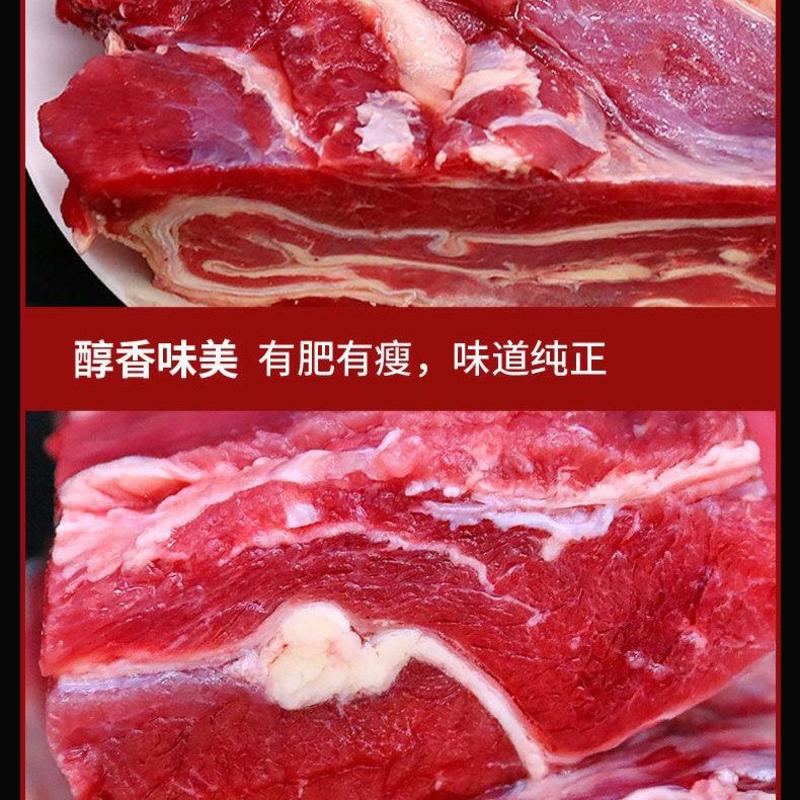 国产原切牛腩肉新鲜生牛肉批发新鲜冷冻火锅食材牛腱黄牛肉