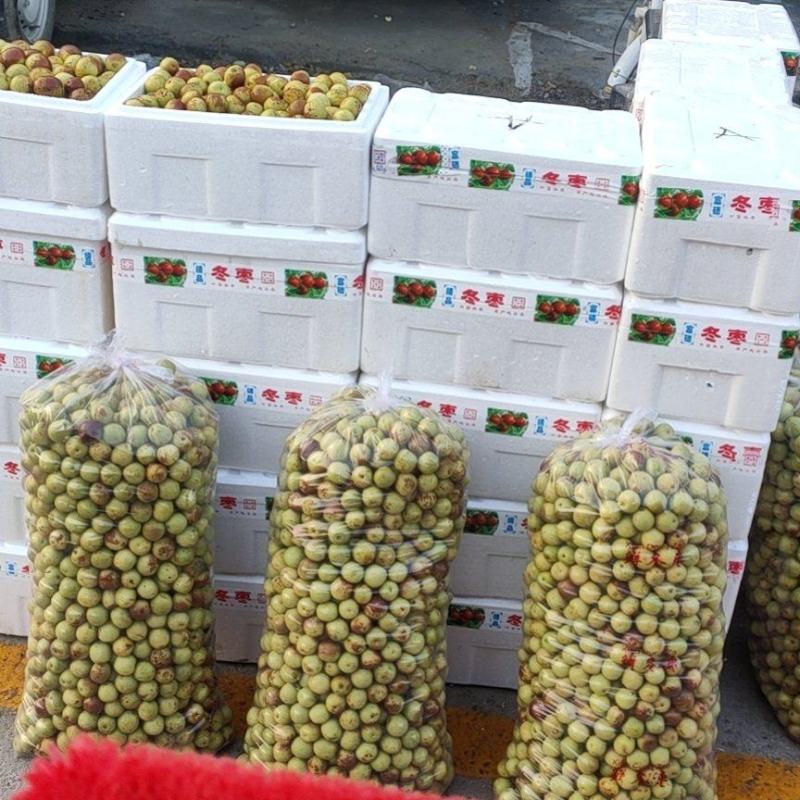 沾化冬枣基地直供