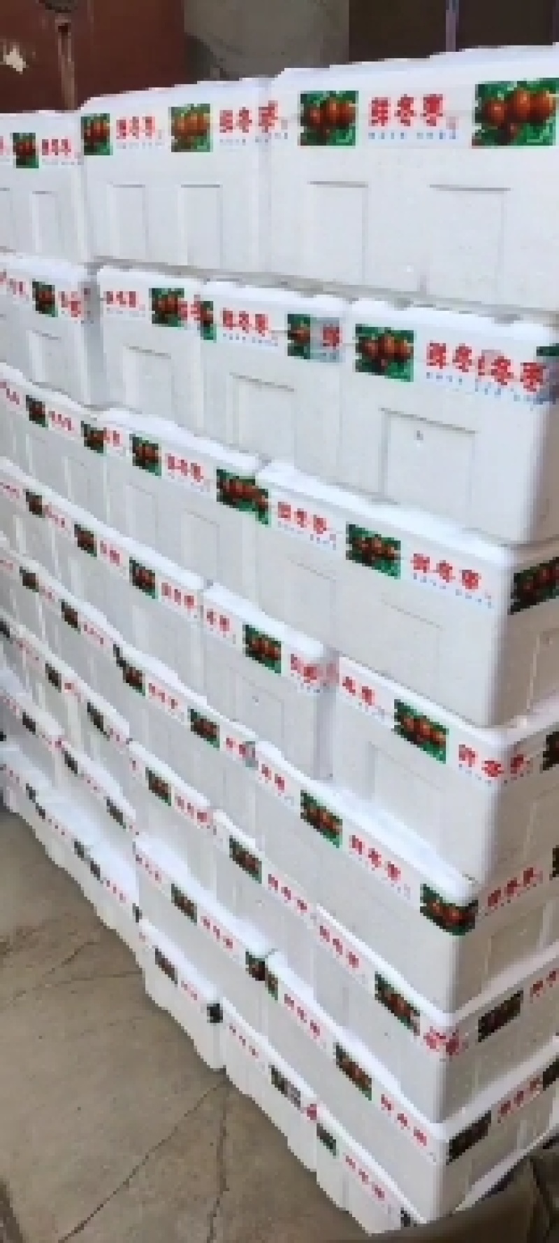 沾化冬枣基地直供