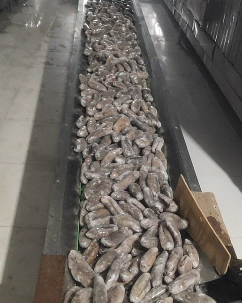 本厂加工各种规格，土耳其米刺海参、乌参，残参、红极参、