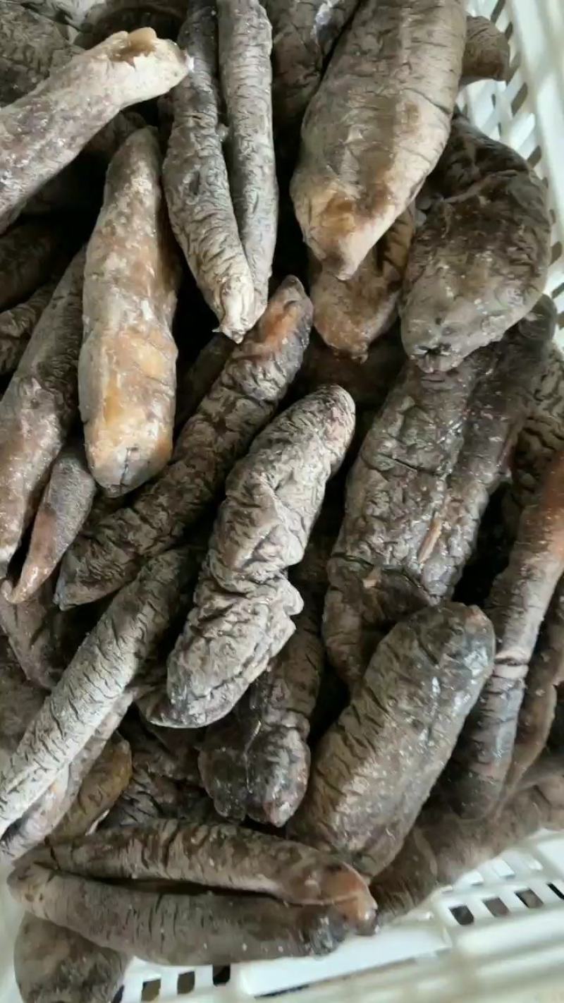 深海大乌参，土耳其米刺、既食刺参、辽参、红极参……