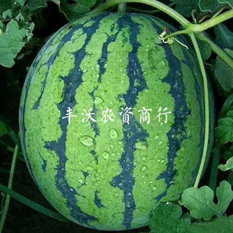发v