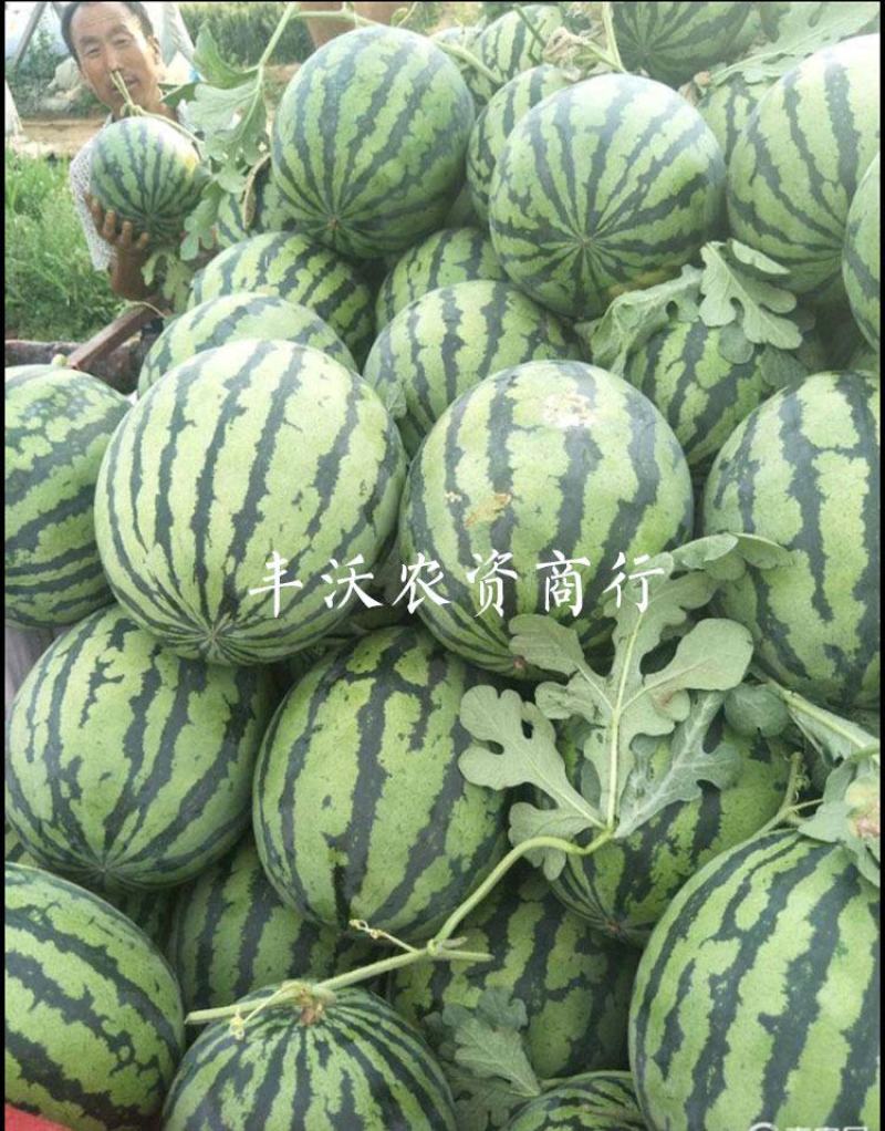 发v