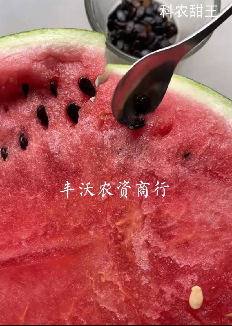 发v