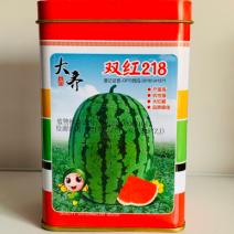 耐高温干旱盐碱西瓜种子大齐双红218花皮椭圆形大红瓤西瓜