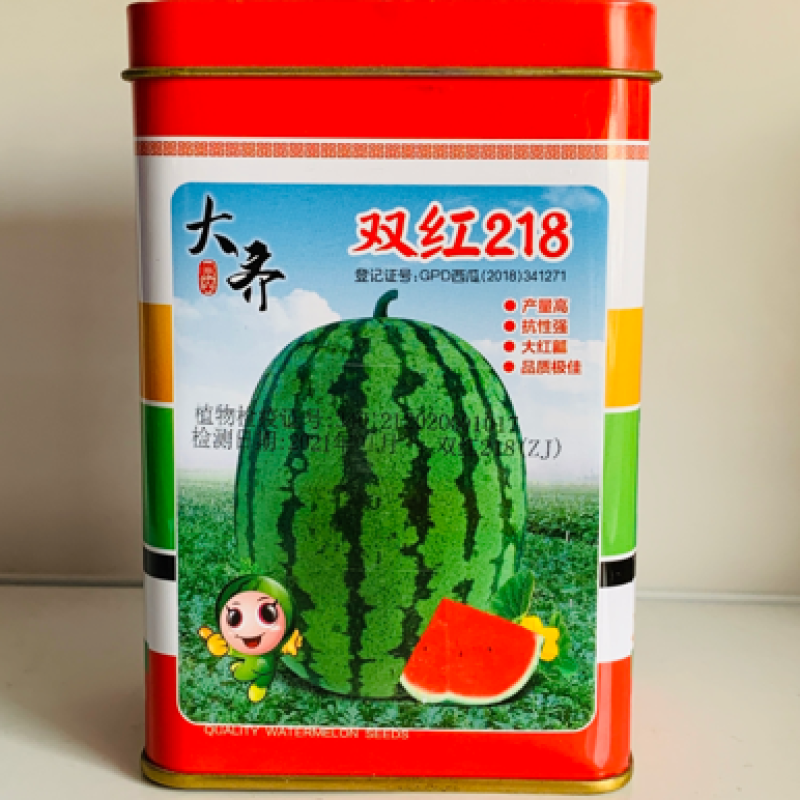 耐高温干旱盐碱西瓜种子大齐双红218花皮椭圆形大红瓤西瓜