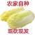 精品娃娃菜质优价廉产地直发