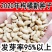 新采枸橘种子枳壳种子香橙红橘种子柑橘马甲子嫁接砧木带刺篱