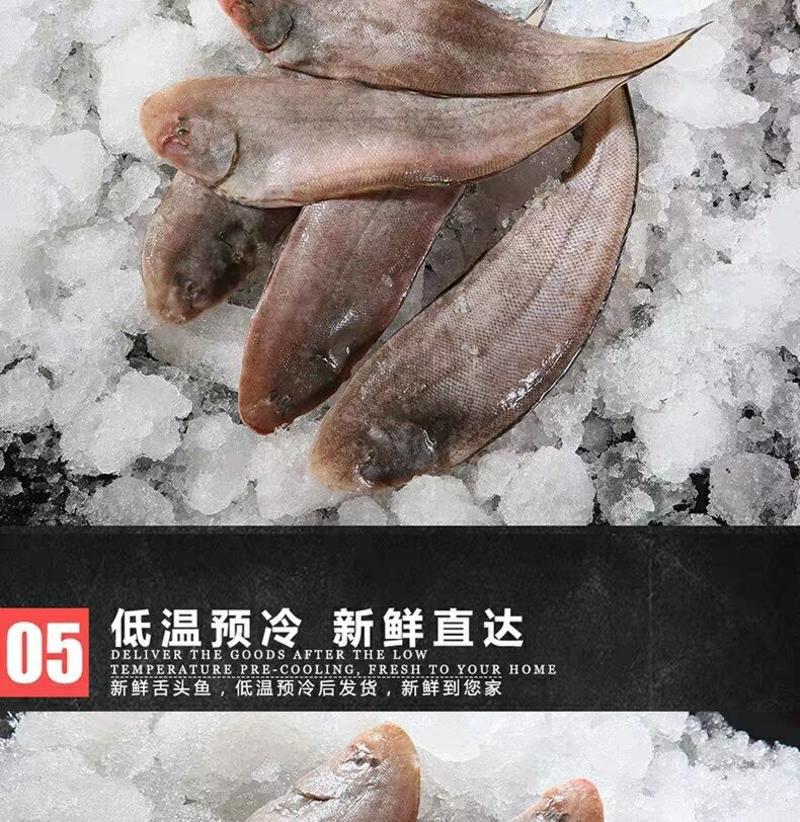 新鲜海捕龙利鱼鲜活速冻龙利鱼海鲜冷冻水产5斤装包邮