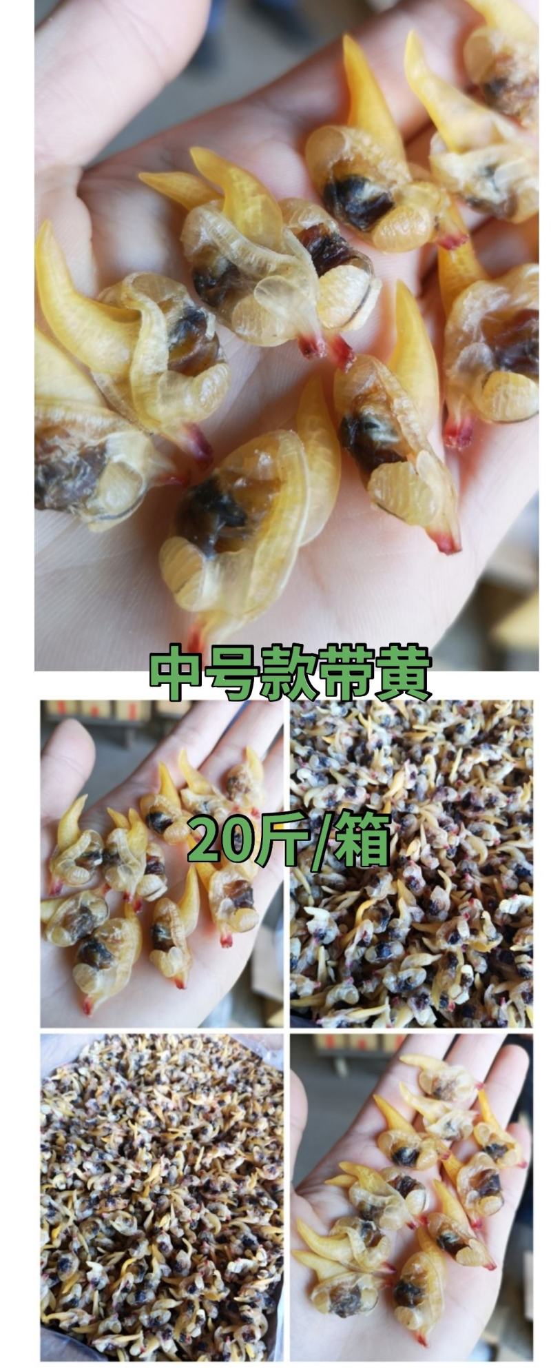 批发黄蚬子肉蛤蜊肉干去黄花甲螺肉干贝类水产蚬子肉海鲜特产