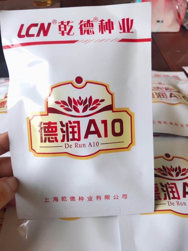 黄瓜苗嫁接黄瓜苗乾德系不用沾花不尖头德润A10