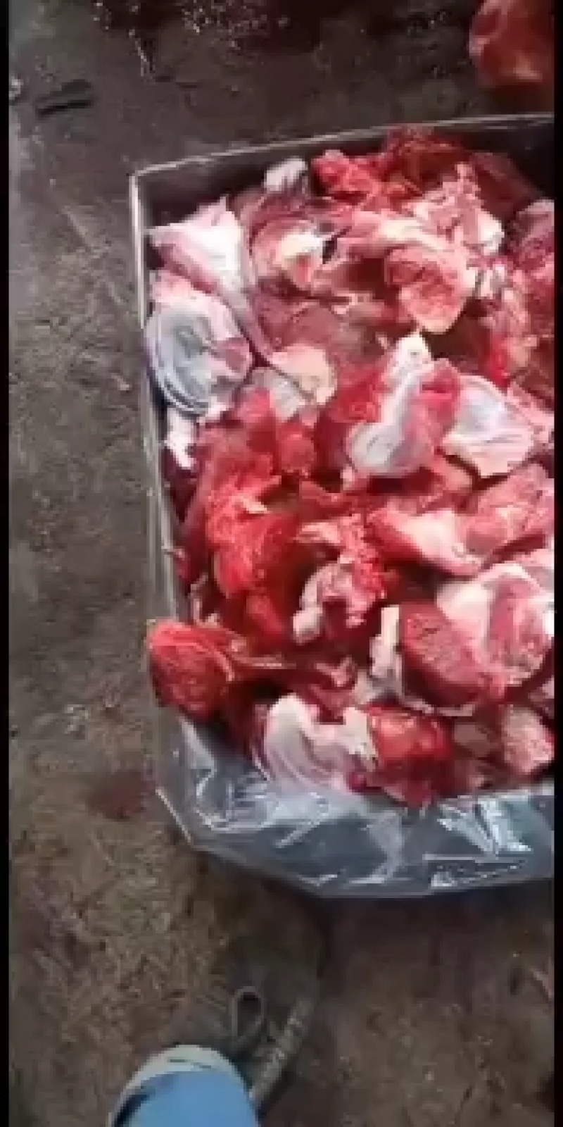 牛头肉缀，色泽靓丽，一手货源，可用于炒.炸.烧烤等……