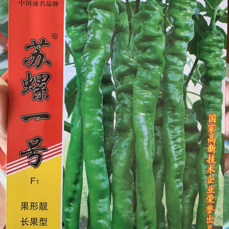 苏润苏螺一号螺丝辣椒种子